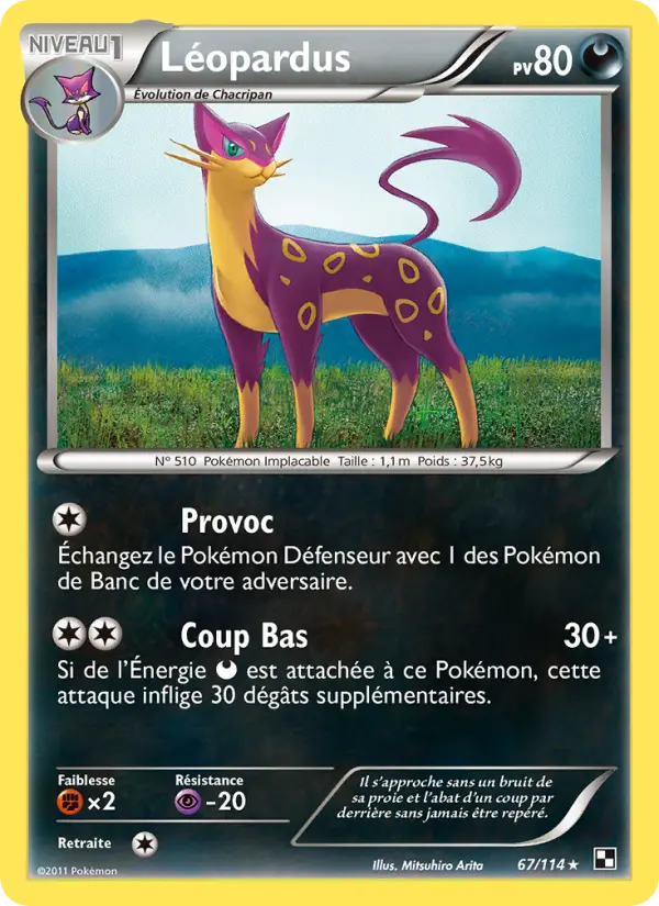 Léopardus — carte 67 de l’extension Noir & Blanc