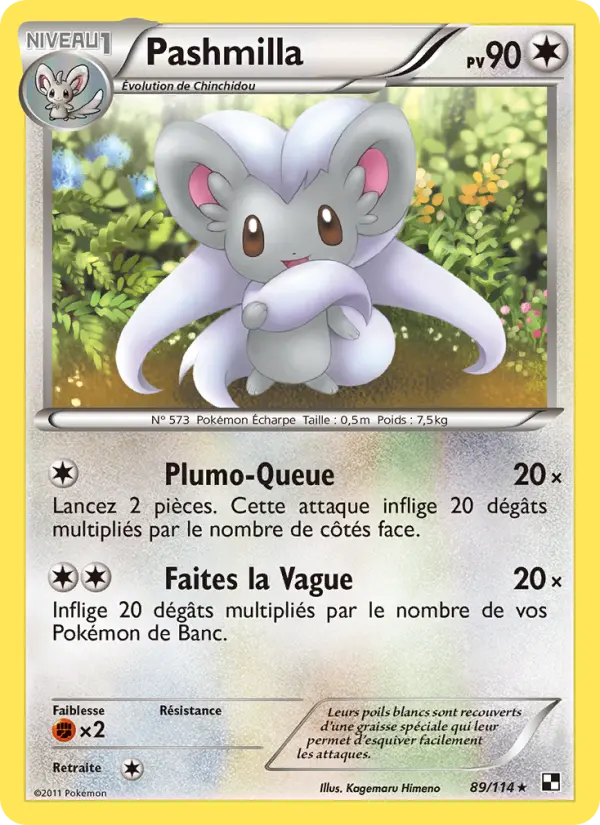 Pashmilla — carte 89 de l’extension Noir & Blanc