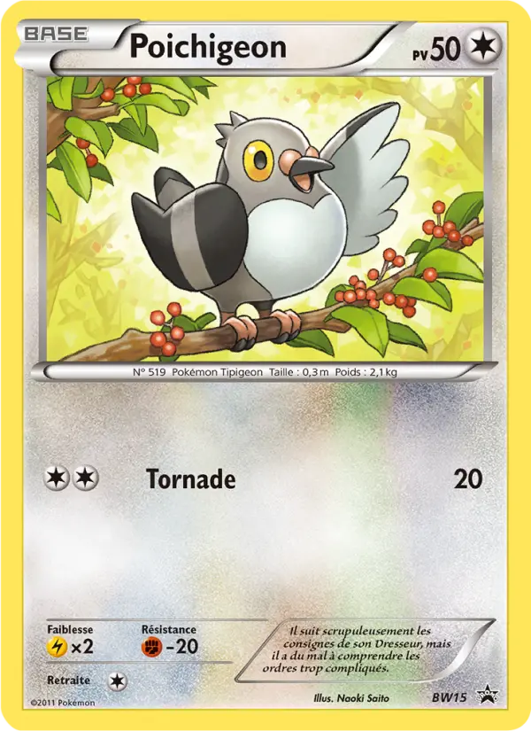 Poichigeon — carte BW15 de l’extension Promo BW