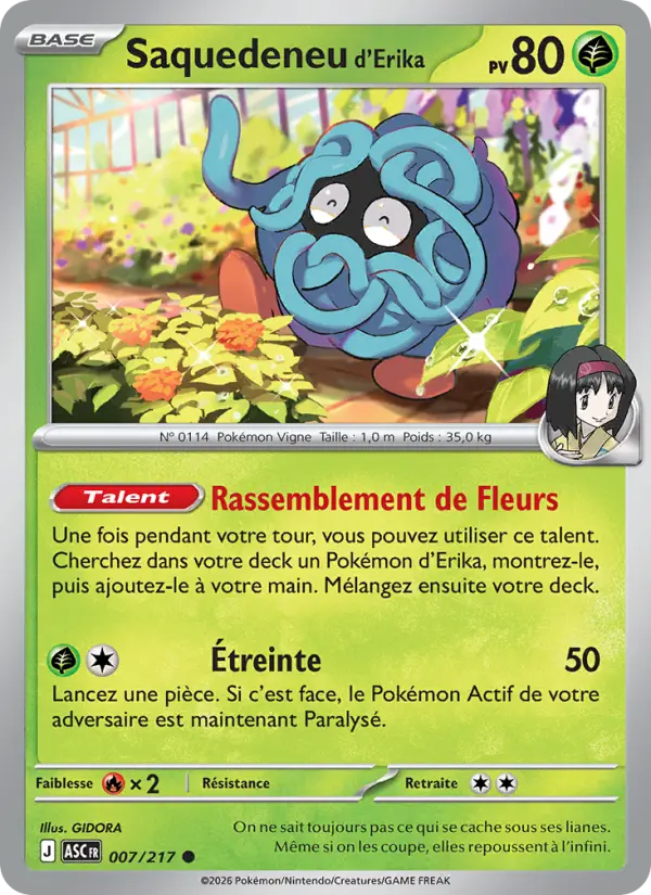 Saquedeneu d'Erika — carte 007 de l’extension Héros Transcendants