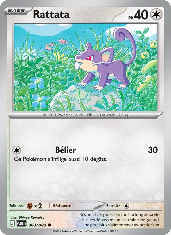 Rattata — carte 060 de l’extension Équilibre Parfait