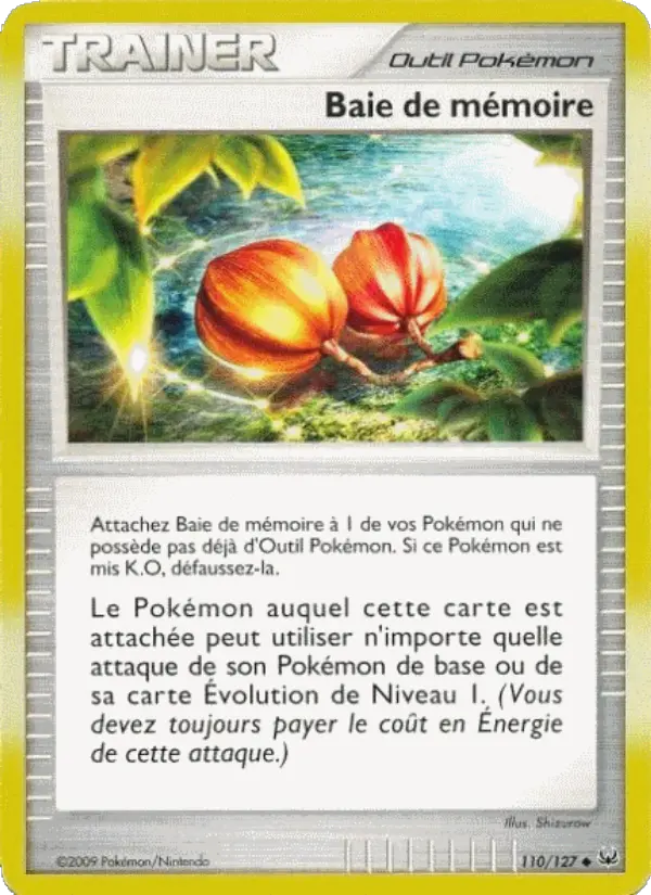 Baie de mémoire — carte 110 de l’extension Platine