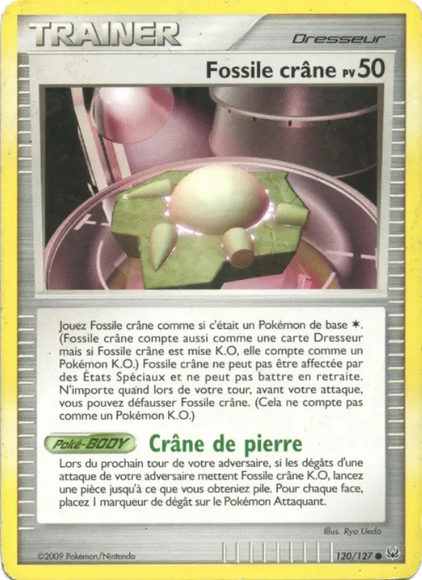 Fossile crâne — carte 120 de l’extension Platine