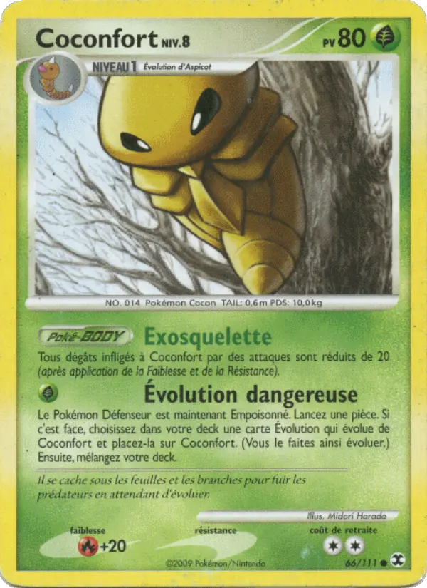 Coconfort Niv. 8 — carte 66 de l’extension Rivaux Émergeants