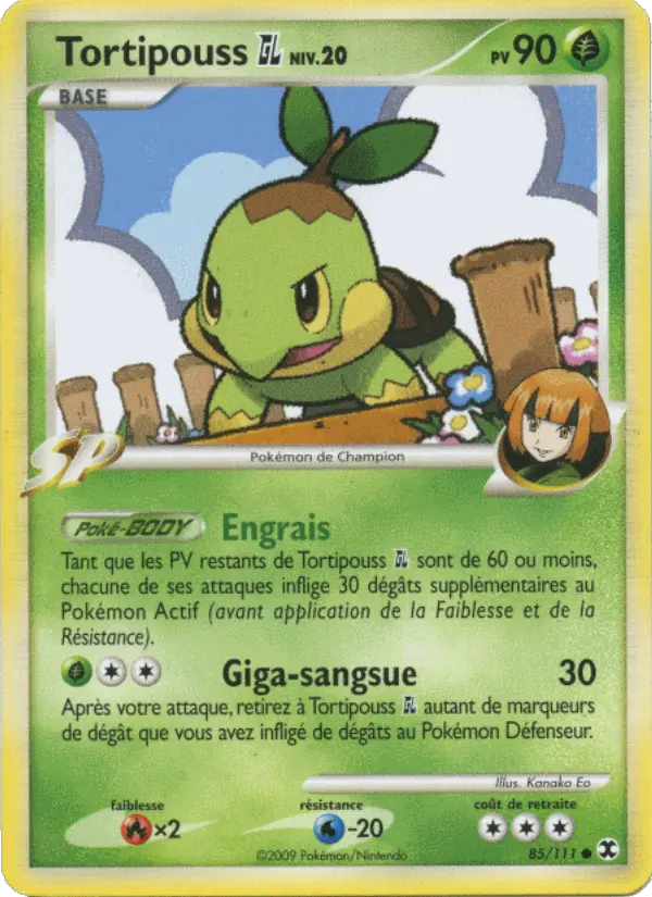Tortipouss Niv. 20 — carte 85 de l’extension Rivaux Émergeants