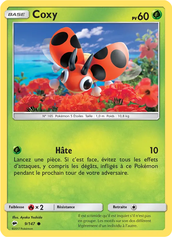 Coxy — carte 9 de l’extension Ombres Ardentes