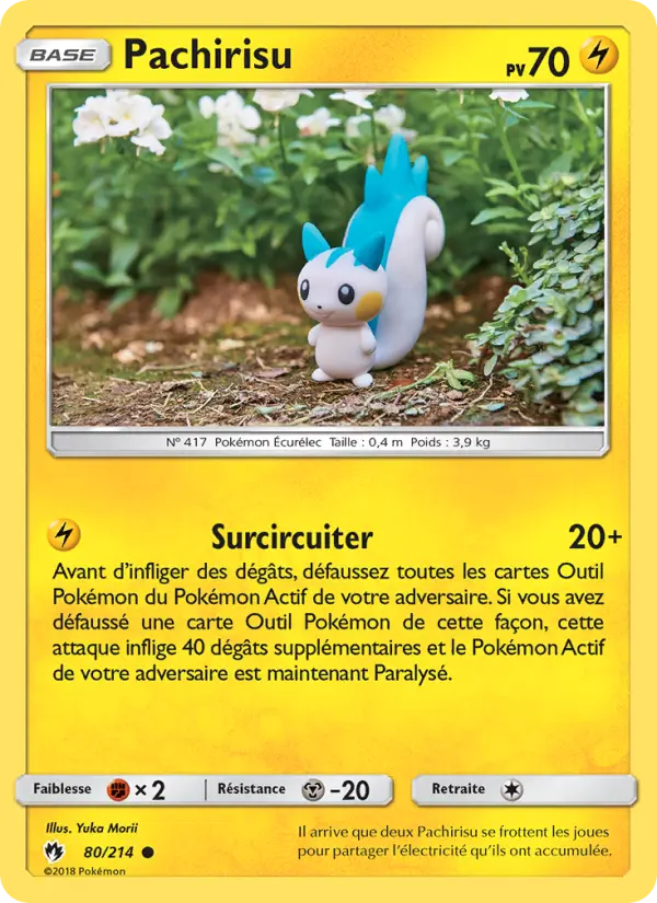 Pachirisu — carte 80 de l’extension Tonnerre Perdu