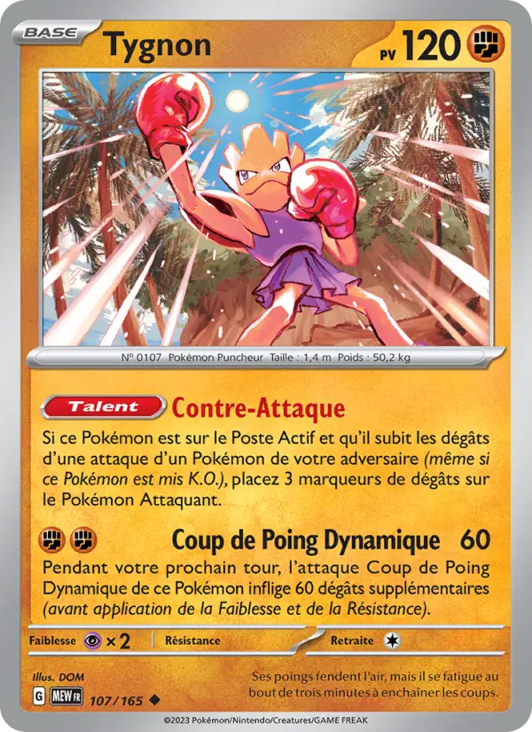 Tygnon — carte 107 de l’extension 151