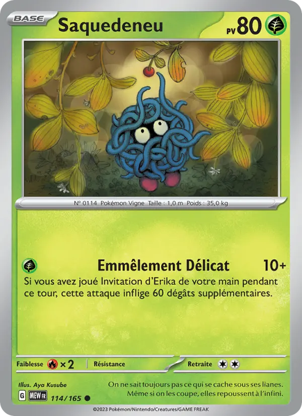 Saquedeneu — carte 114 de l’extension 151