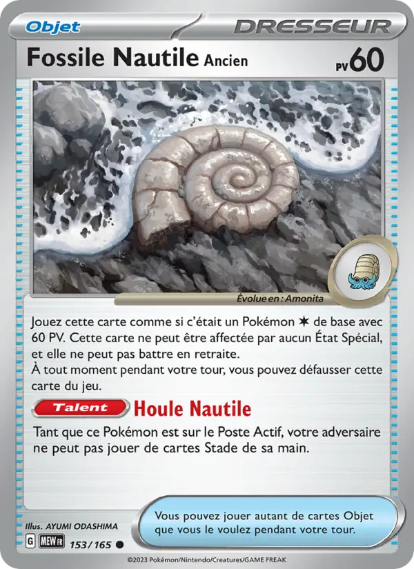Fossile Nautile Ancien — carte 153 de l’extension 151