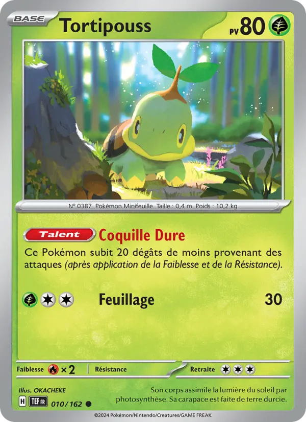 Tortipouss — carte 010 de l’extension Forces Temporelles