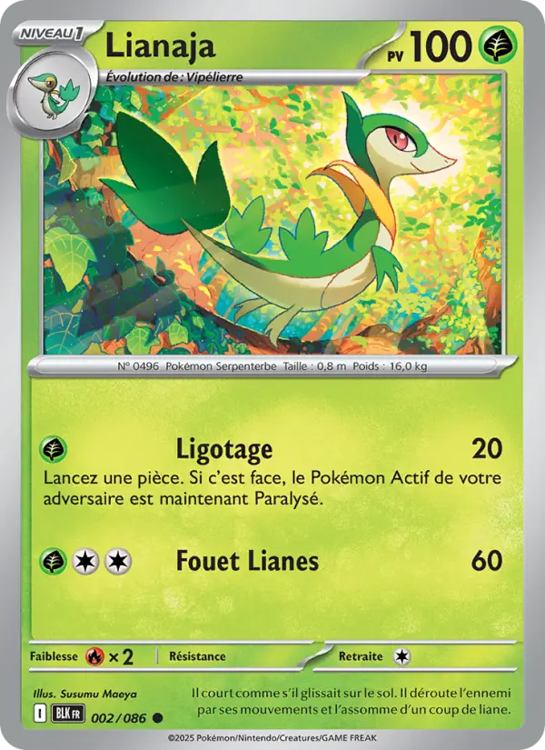 Lianaja — carte 002 de l’extension Foudre Noire
