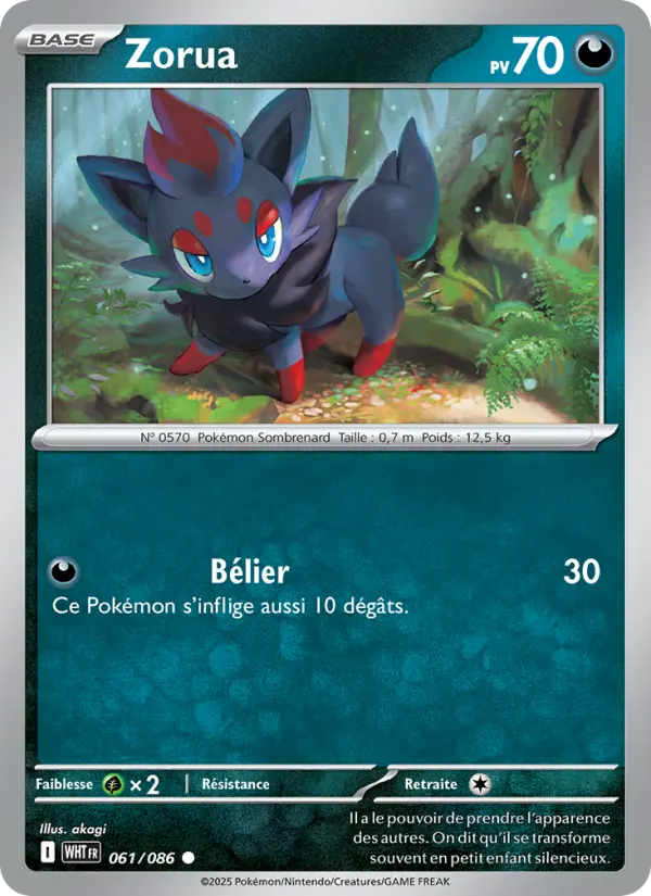 Zorua — carte 061 de l’extension Flamme Blanche