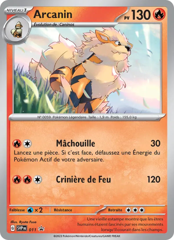 Arcanin — carte 011 de l’extension SVP Black Star Promos