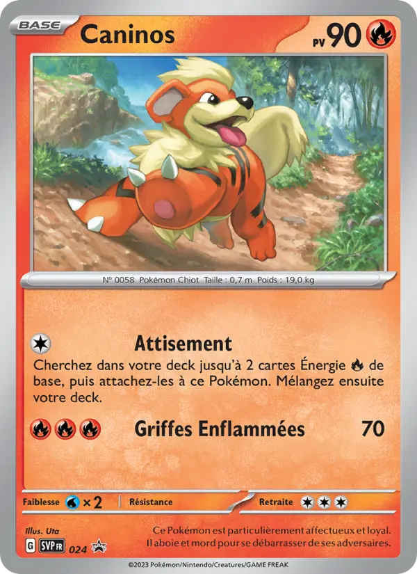 Caninos — carte 024 de l’extension SVP Black Star Promos