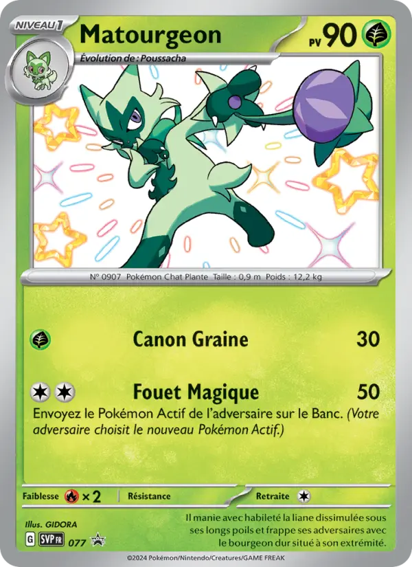 Matourgeon — carte 077 de l’extension SVP Black Star Promos