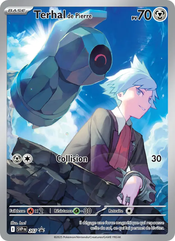 Terhal de Pierre — carte 207 de l’extension SVP Black Star Promos