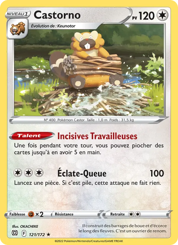 Castorno — carte 121 de l’extension Stars Étincelantes