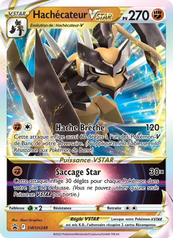 Hachécateur VSTAR — carte SWSH249 de l’extension Promo SWSH
