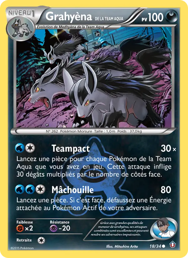 Grahyèna de la Team Aqua — carte 18 de l’extension Double Danger