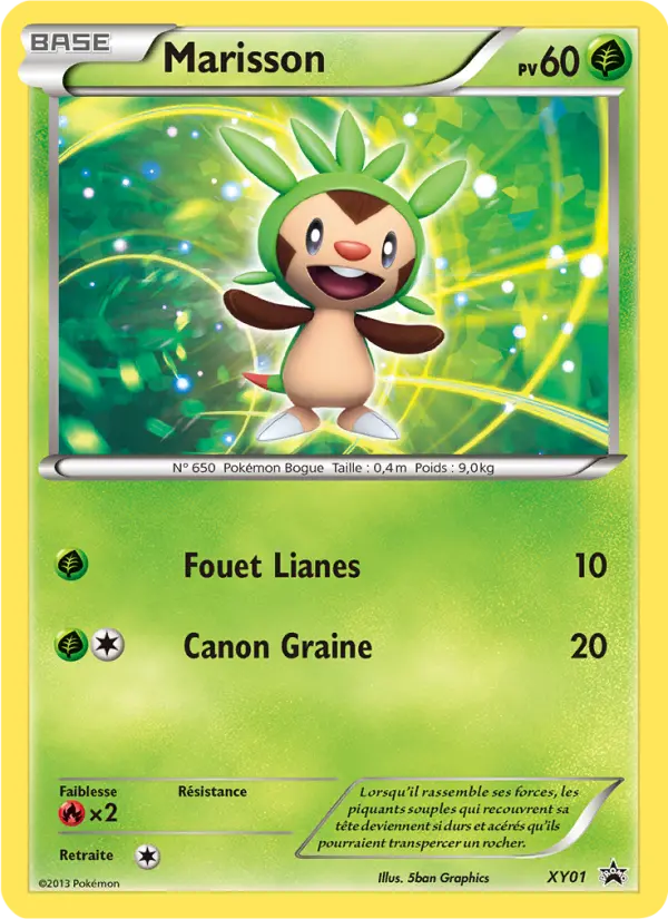 Marisson — carte XY01 de l’extension Promo XY