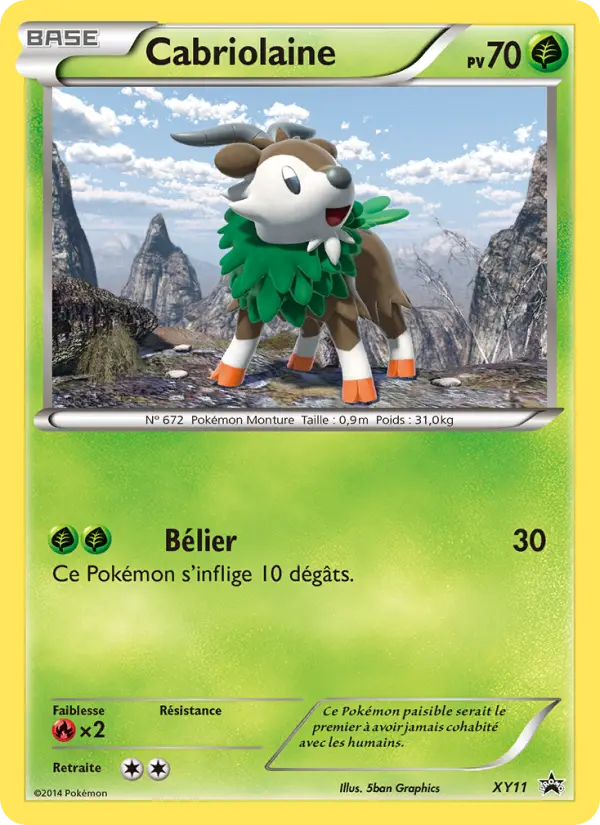Cabriolaine — carte XY11 de l’extension Promo XY