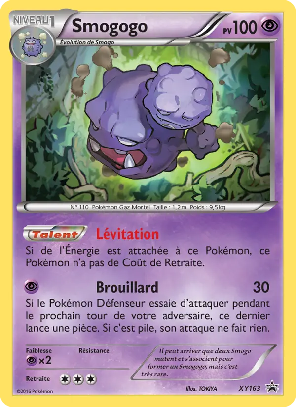 Smogogo — carte XY163 de l’extension Promo XY