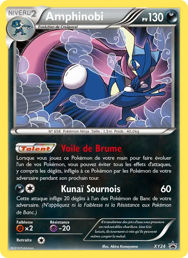 Amphinobi — carte XY24 de l’extension Promo XY