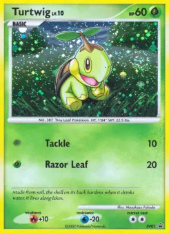 Tortipouss — carte DP01 de l’extension Promo DP