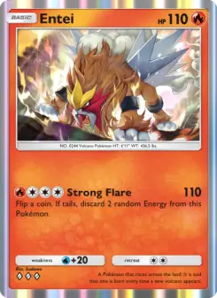 Entei — carte 033 de l’extension Sagesse Entre Ciel et Mer