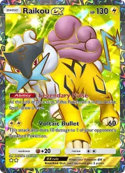 Raikou-ex — carte 081 de l’extension Source Secrète
