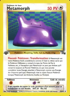 Metamorph — carte 18 de l’extension Fossile