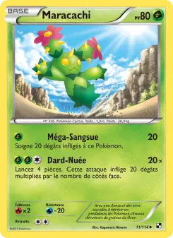 Maracachi — carte 11 de l’extension Noir & Blanc