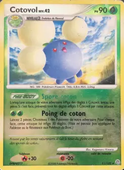 Cotovol — carte 11 de l’extension Merveilles Secrètes