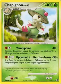 Chapignon — carte 45 de l’extension Merveilles Secrètes