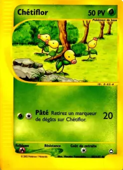 Chétiflor — carte 45 de l’extension Aquapolis