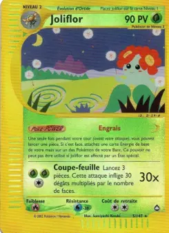 Joliflor — carte 5 de l’extension Aquapolis