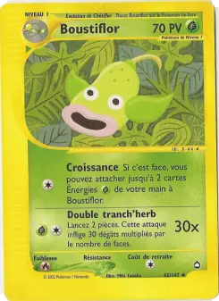 Boustiflor — carte 65 de l’extension Aquapolis