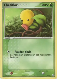 Chetiflor — carte 49 de l’extension EX Créateurs de légendes