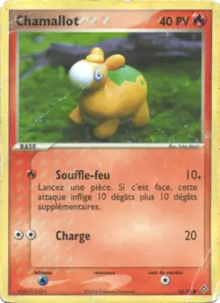 Chamallot — carte 69 de l’extension EX Dragon