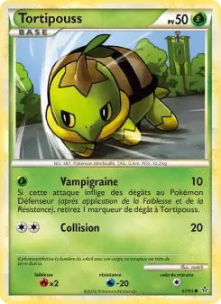 Tortipouss — carte 67 de l’extension Déchaînement