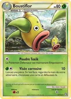 Boustiflor — carte 53 de l’extension Triomphant