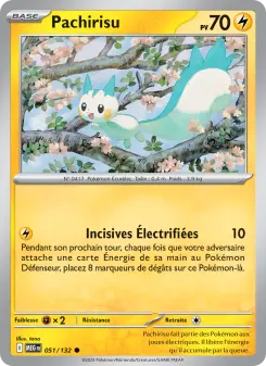 Pachirisu — carte 051 de l’extension Méga-Évolution