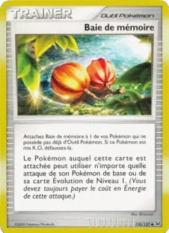 Baie de mémoire — carte 110 de l’extension Platine