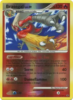 Brasegali — carte 3 de l’extension Platine