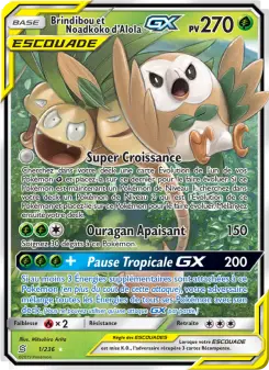 Brindibou et Noadkoko d’Alola GX — carte 1 de l’extension Harmonie des Esprits