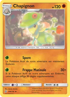 Chapignon — carte 108 de l’extension Harmonie des Esprits
