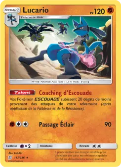 Lucario — carte 117 de l’extension Harmonie des Esprits