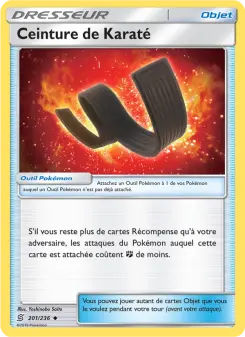Ceinture de Karaté — carte 201 de l’extension Harmonie des Esprits