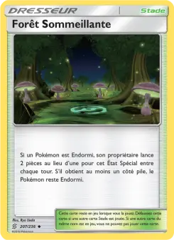 Forêt Sommeillante — carte 207 de l’extension Harmonie des Esprits